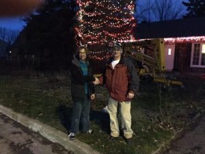 Pose de lumières décorative dans les arbres