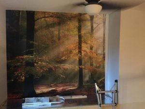 Applicateur de papier peint murale
