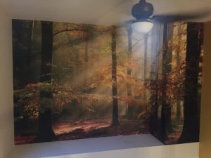 Papier peint mural
