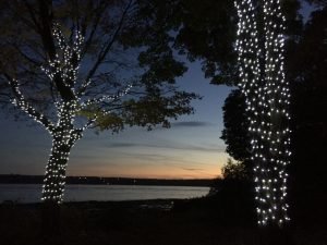 Poseur lumières en cordon sur des arbres