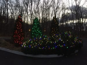 Installation de lumières de noël 