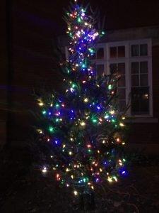 Poseur de lumières multicolores dans un sapin