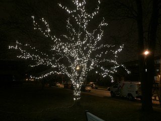 Installtion de lumières festives