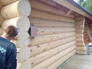 decapage de maison en bois rond