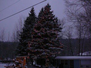 lumiere de noel dans un sapin
