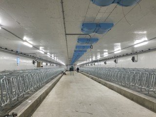 peinture commerciale vaporisateur porcherie