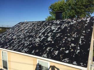 peinture metallique galvanisee levis
